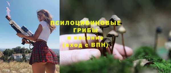 apvp Бронницы