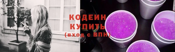 стаф Вязьма