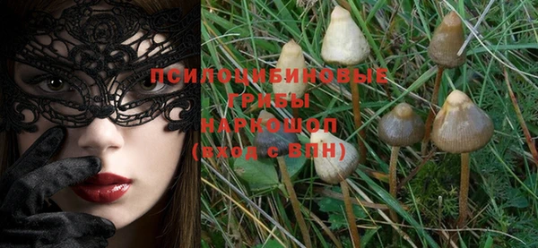 apvp Бронницы