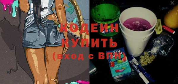 стаф Вязьма