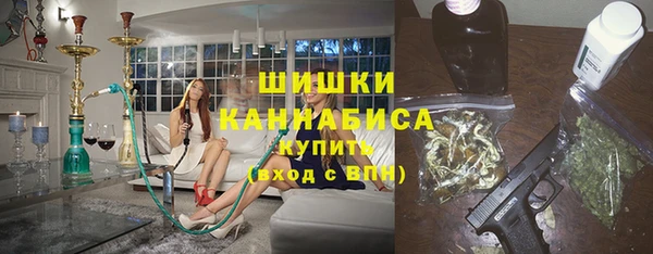 индика Вяземский