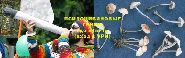 apvp Бронницы